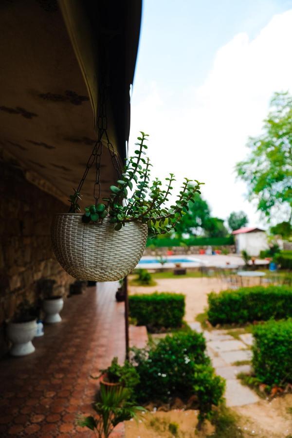 The Rustic Villa, A Stay With Luxuries Amenities And Exotic Nature Джапур Экстерьер фото
