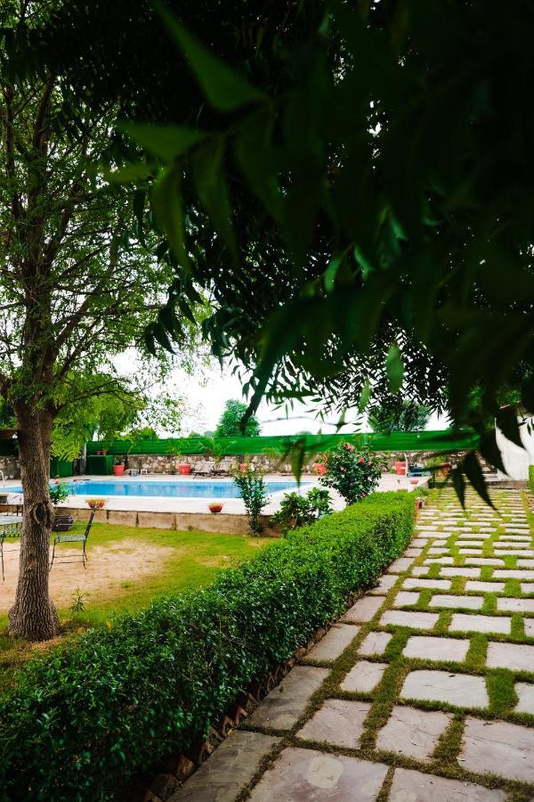 The Rustic Villa, A Stay With Luxuries Amenities And Exotic Nature Джапур Экстерьер фото